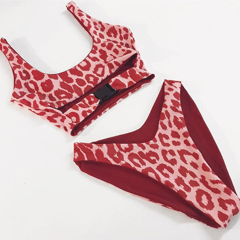 Sexy Bikini