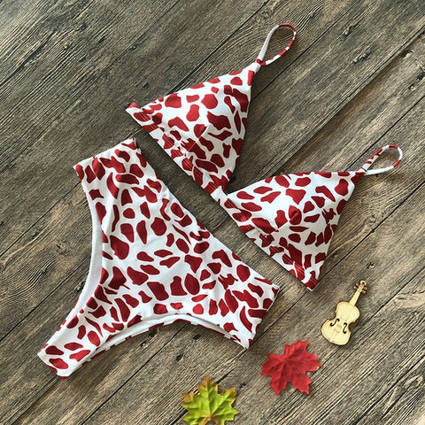 Snake Print Bikini